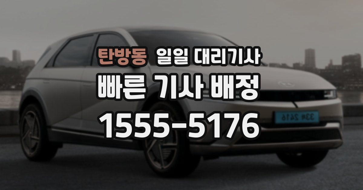 탄방동 일일 대리기사