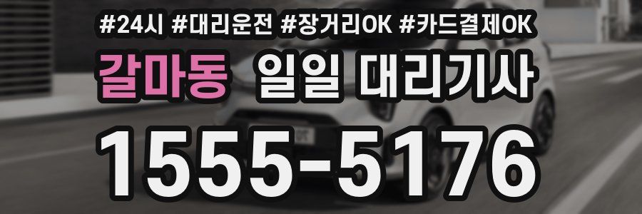 갈마동 일일 대리기사