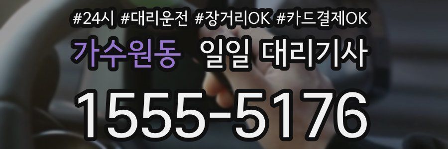 가수원동 일일 대리기사