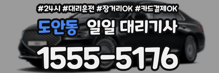 도안동 일일 대리기사