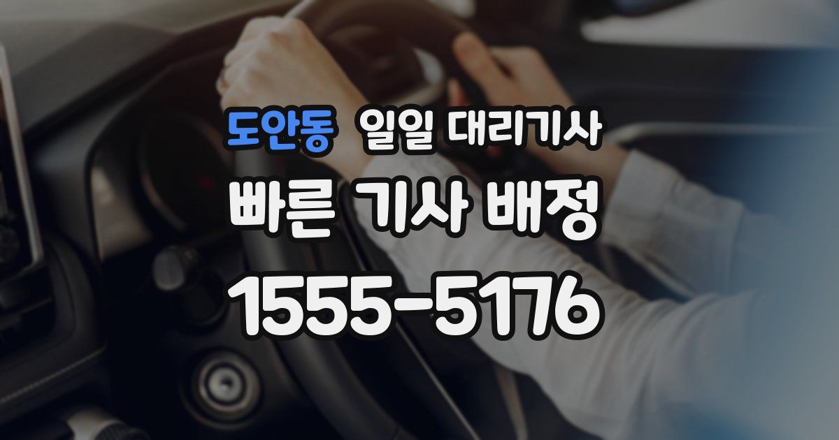 도안동 일일 대리기사