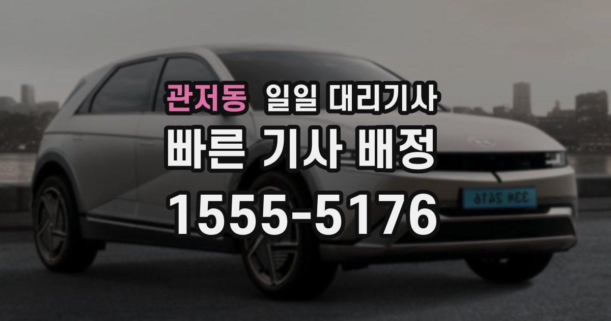 관저동 일일 대리기사