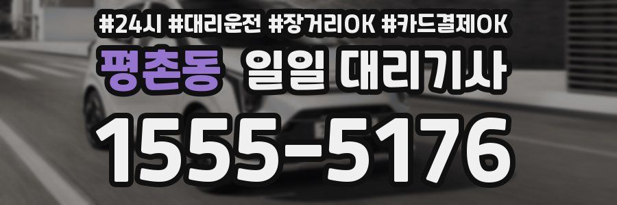 평촌동 일일 대리기사