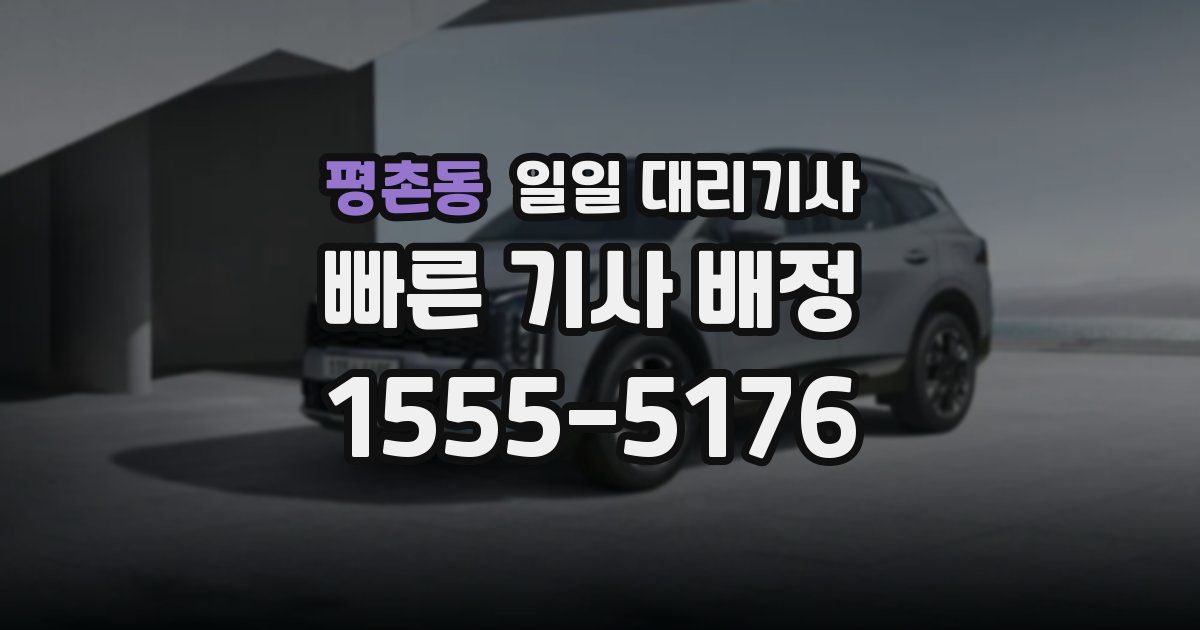 평촌동 일일 대리기사