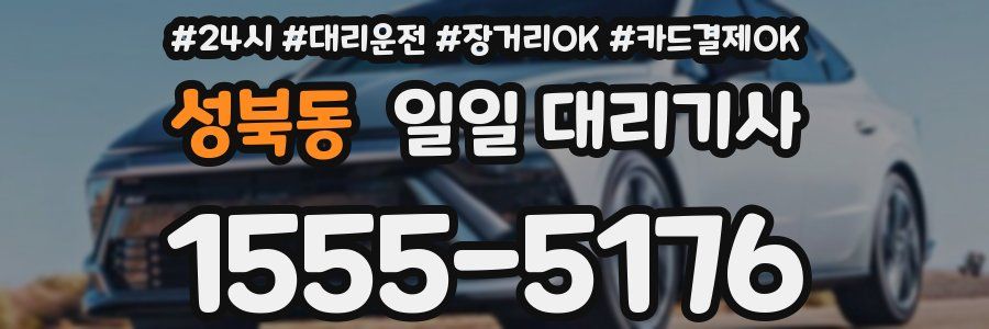 성북동 일일 대리기사