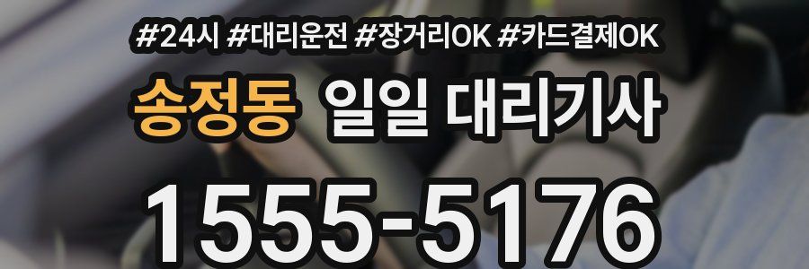 송정동 일일 대리기사