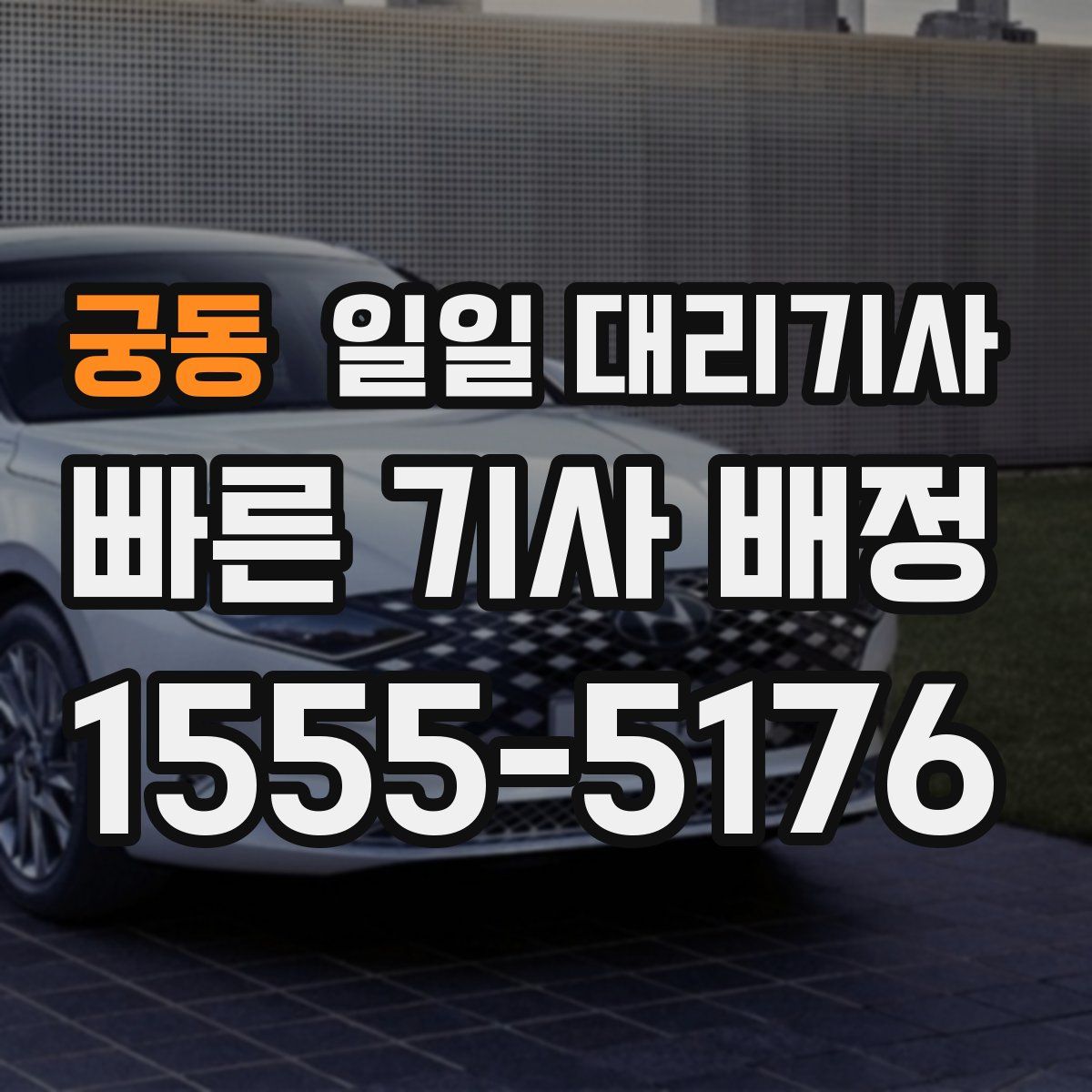 궁동 일일 대리기사