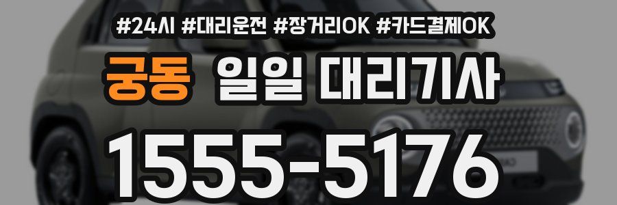 궁동 일일 대리기사