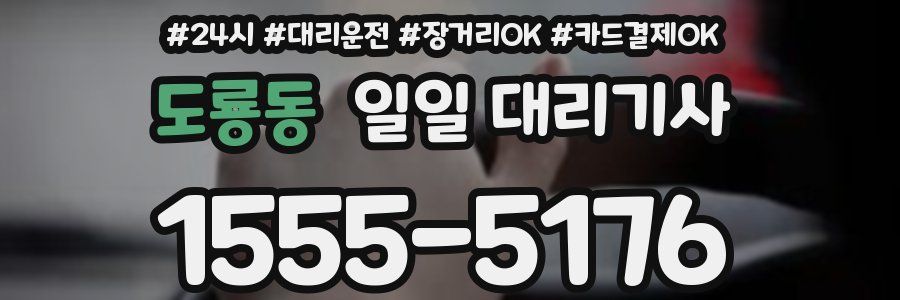 도룡동 일일 대리기사