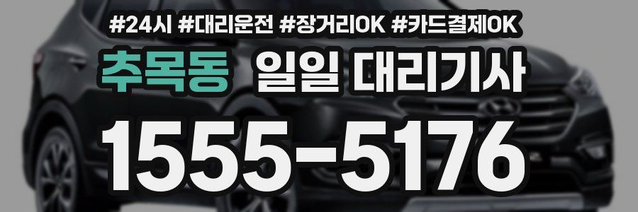 추목동 일일 대리기사