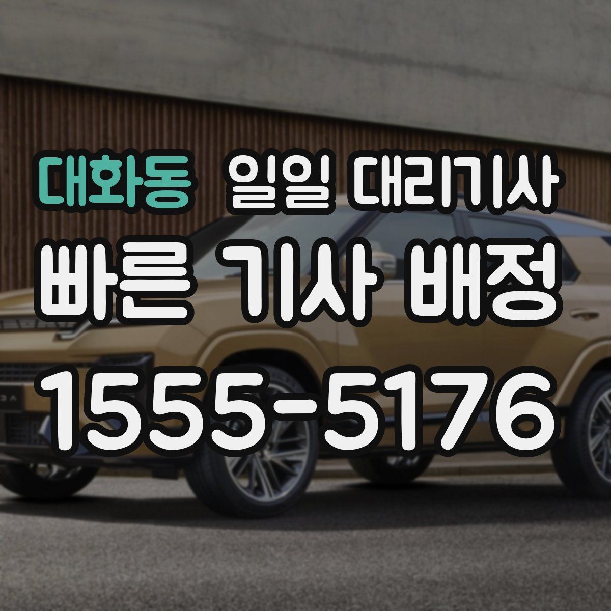 대화동 일일 대리기사