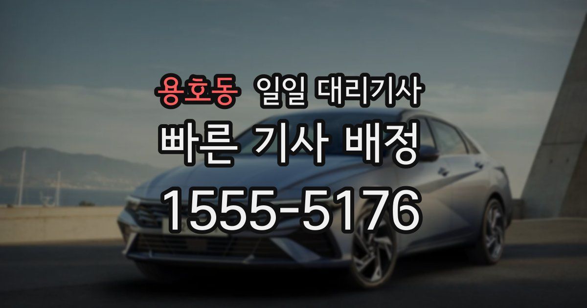 용호동 일일 대리기사