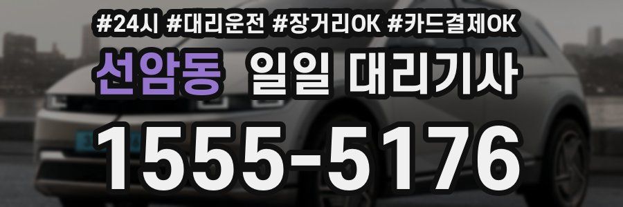 선암동 일일 대리기사