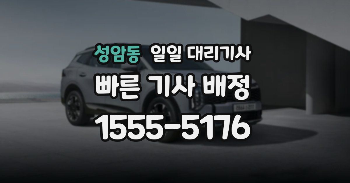 성암동 일일 대리기사