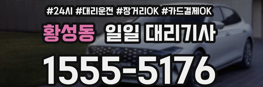 황성동 일일 대리기사