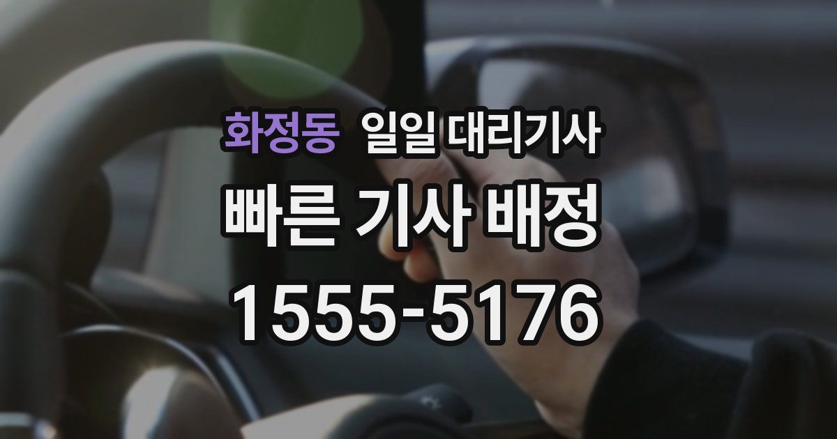 화정동 일일 대리기사