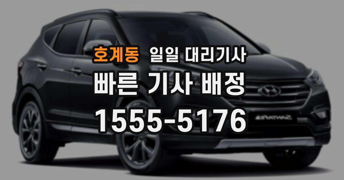 호계동 일일 대리기사