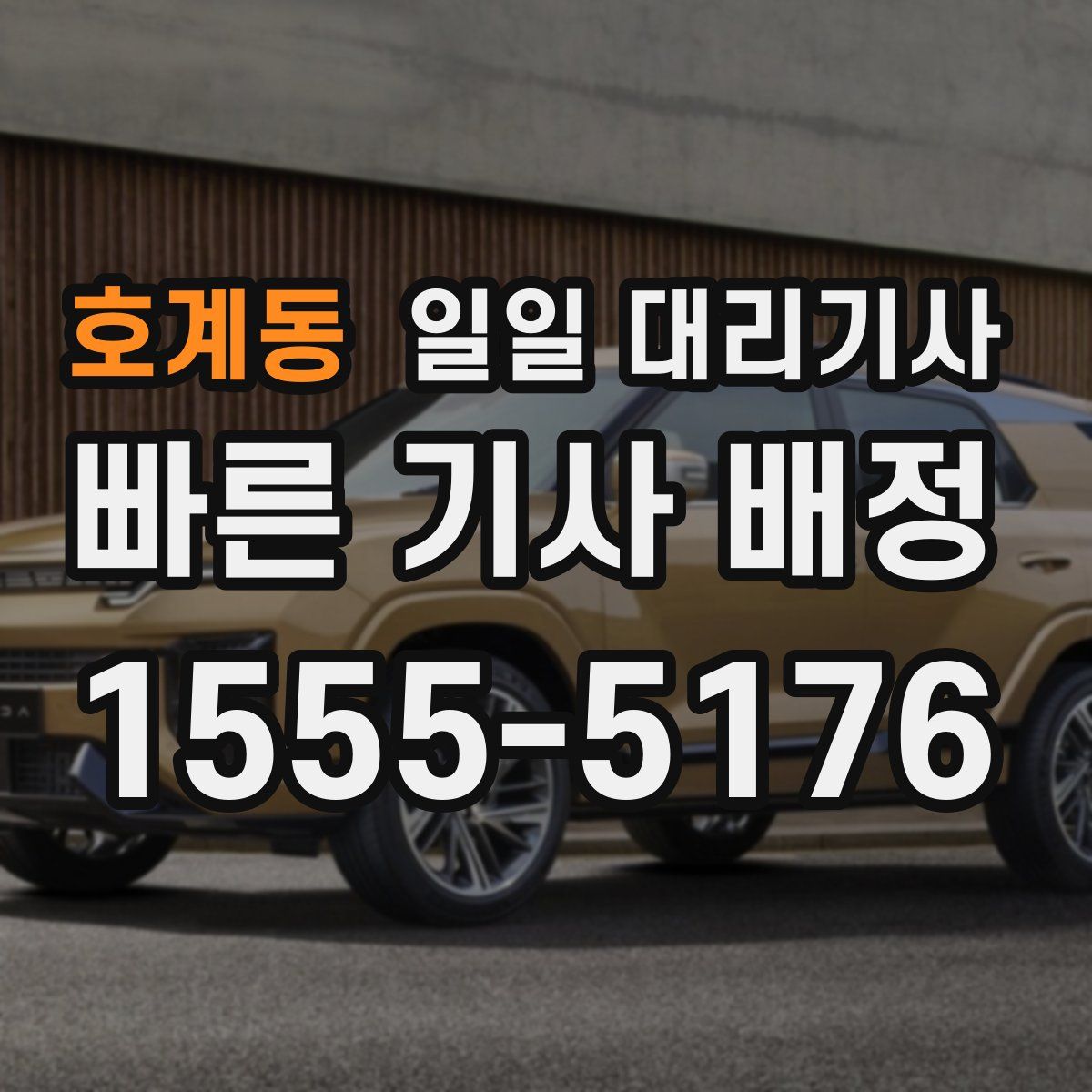 호계동 일일 대리기사