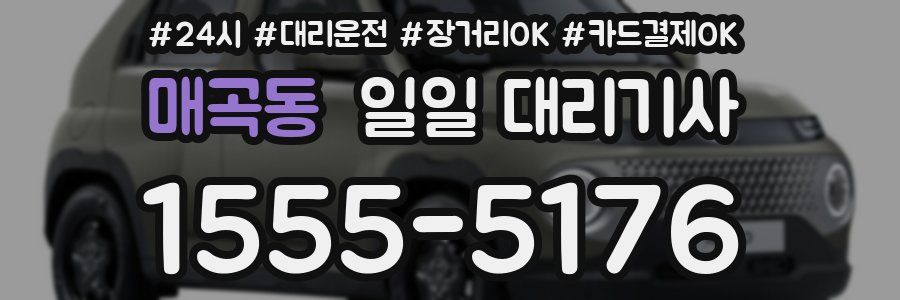 매곡동 일일 대리기사