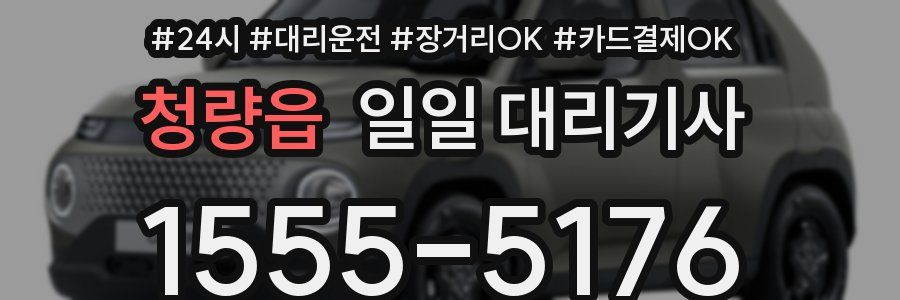 청량읍 일일 대리기사