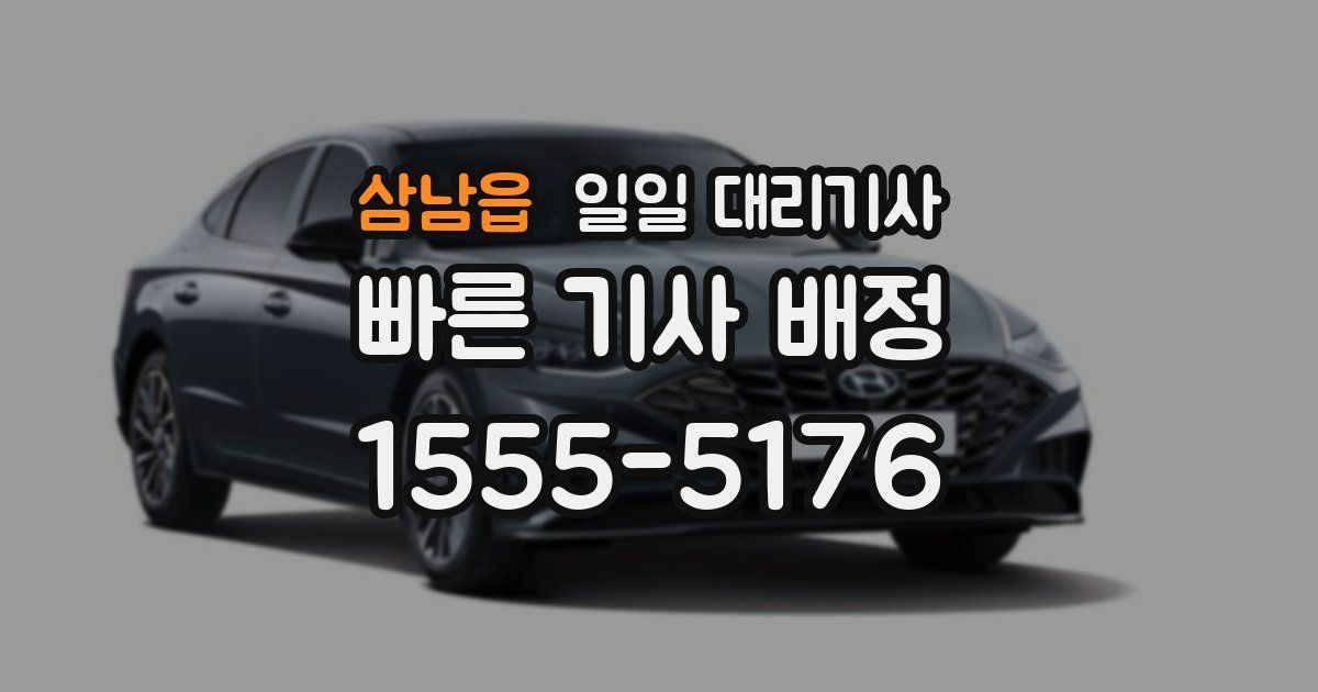 삼남읍 일일 대리기사