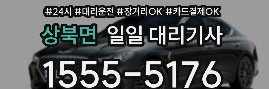 상북면 일일 대리기사