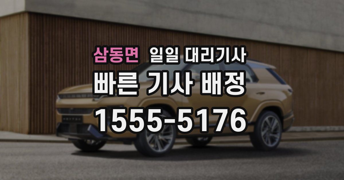 삼동면 일일 대리기사