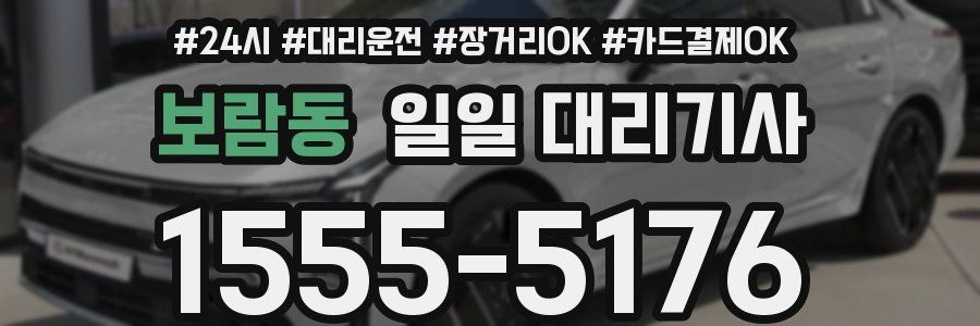 보람동 일일 대리기사