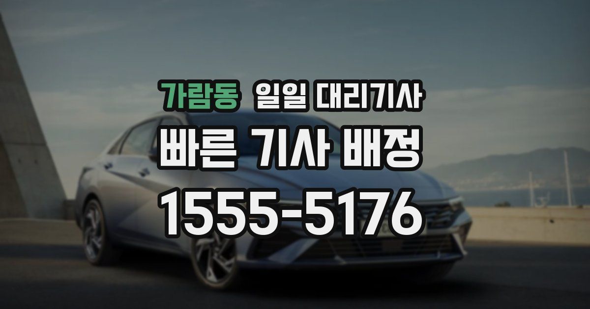 가람동 일일 대리기사