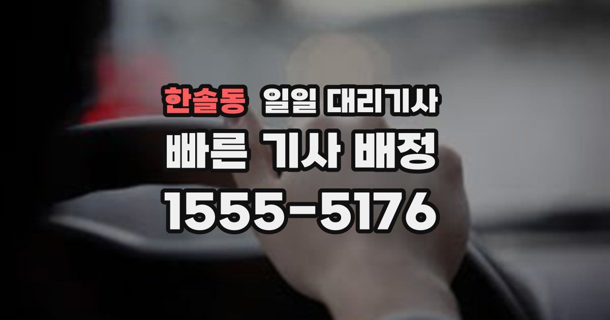 한솔동 일일 대리기사