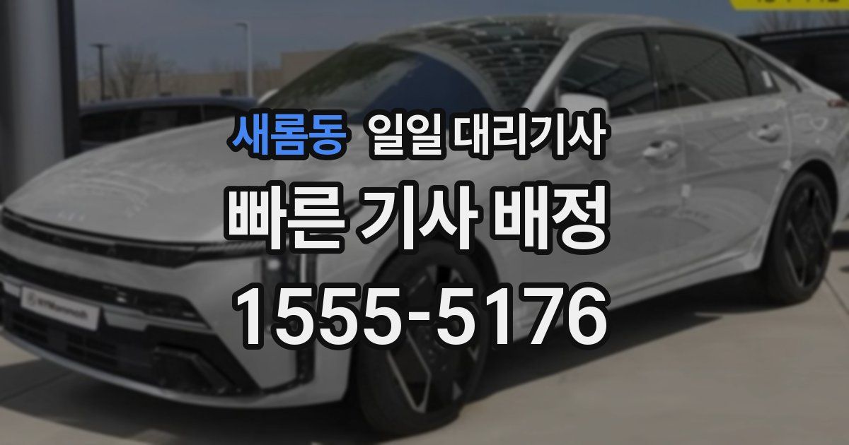 새롬동 일일 대리기사
