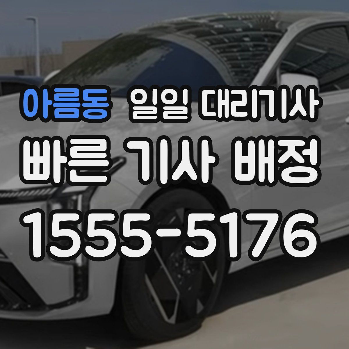 아름동 일일 대리기사