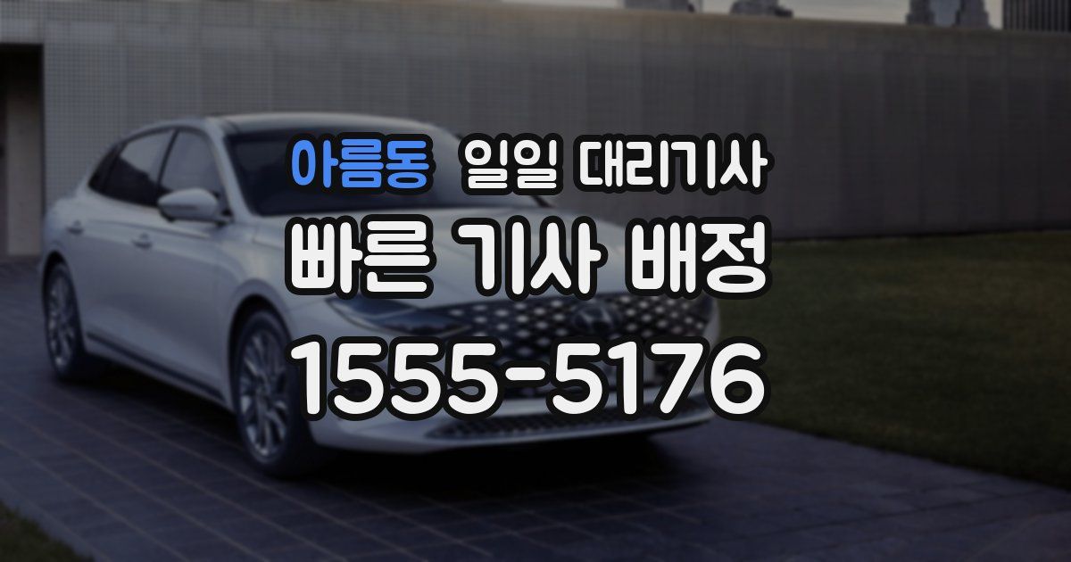 아름동 일일 대리기사