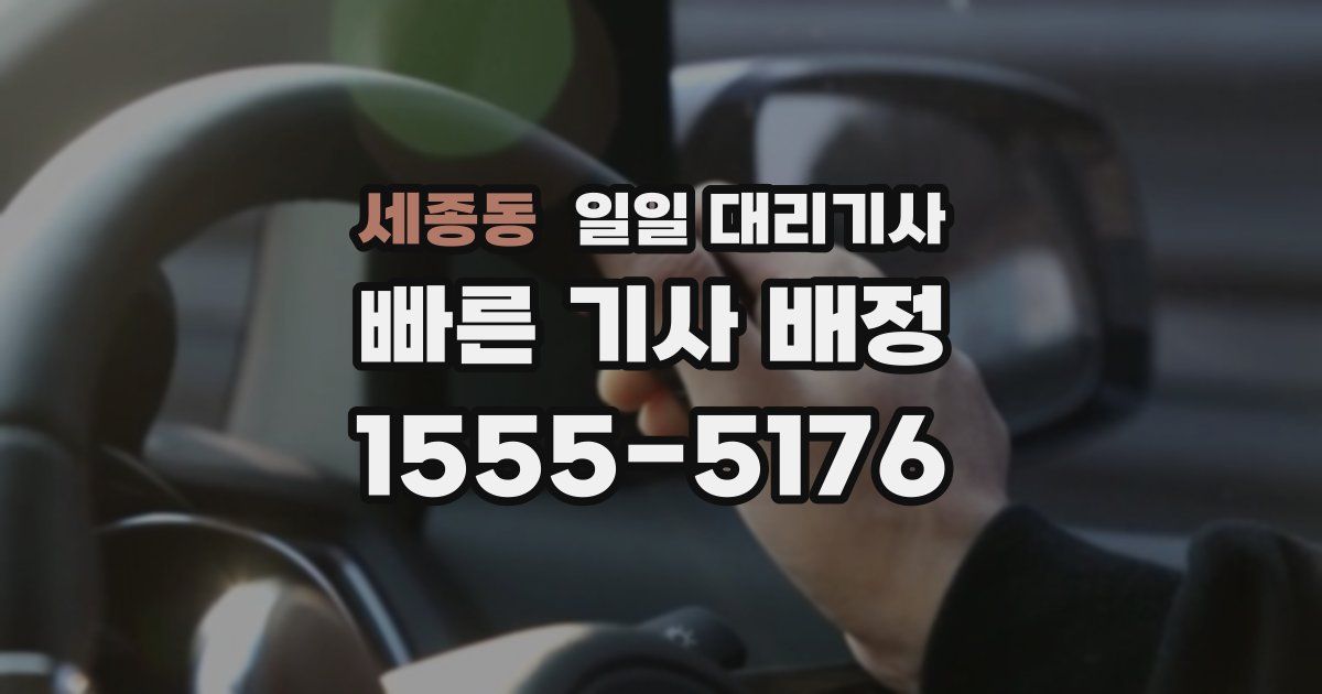 세종동 일일 대리기사