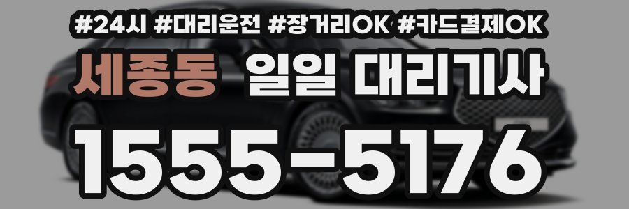 세종동 일일 대리기사