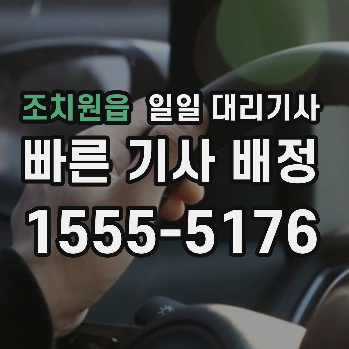 조치원읍 일일 대리기사