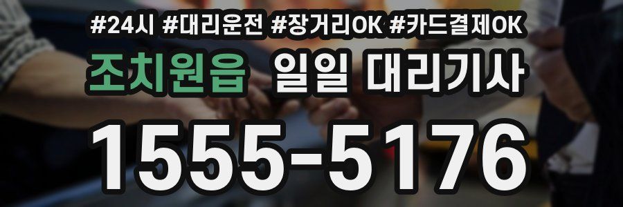 조치원읍 일일 대리기사