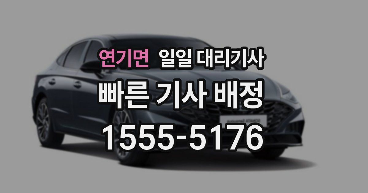 연기면 일일 대리기사