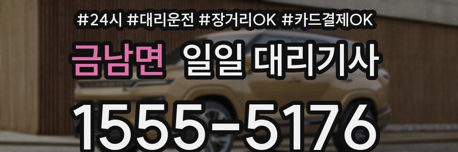 금남면 일일 대리기사