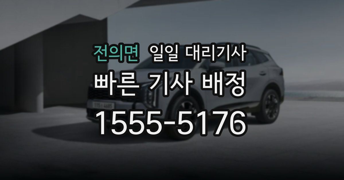 전의면 일일 대리기사