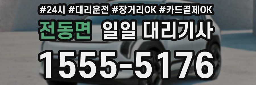 전동면 일일 대리기사