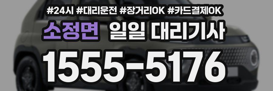 소정면 일일 대리기사