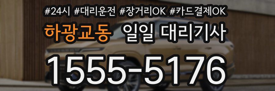하광교동 일일 대리기사