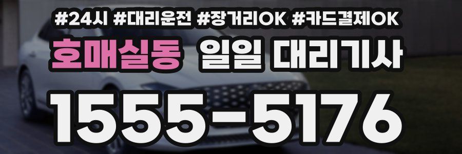 호매실동 일일 대리기사