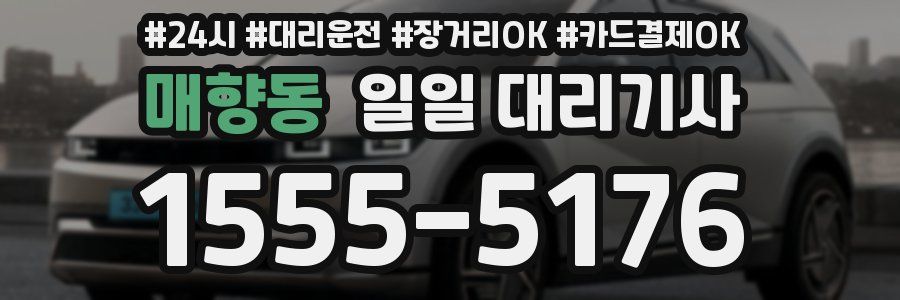 매향동 일일 대리기사
