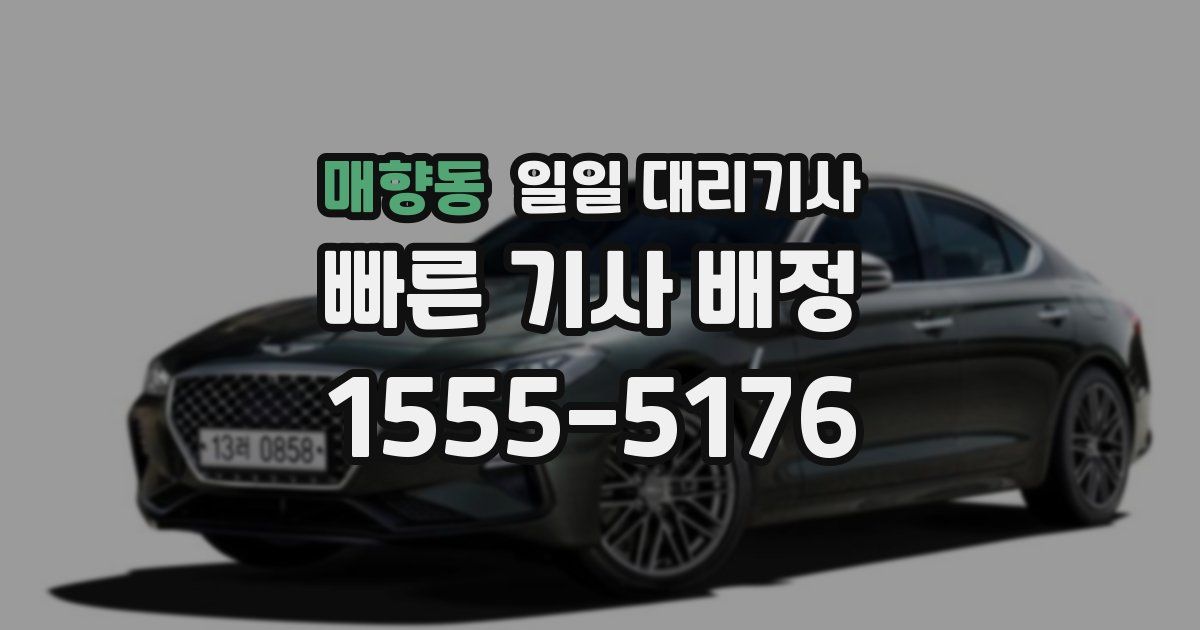 매향동 일일 대리기사