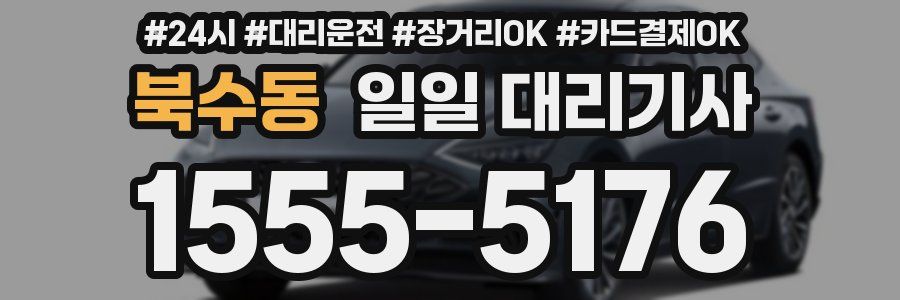 북수동 일일 대리기사