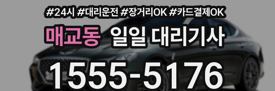 매교동 일일 대리기사