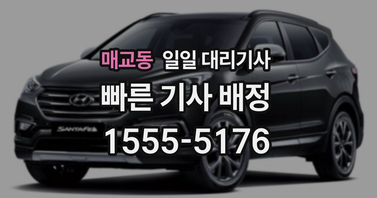 매교동 일일 대리기사