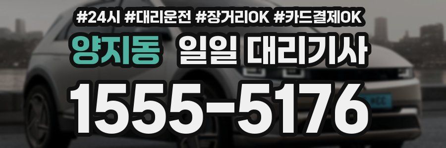 양지동 일일 대리기사